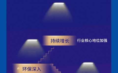 一图读懂金力泰2020年度报告