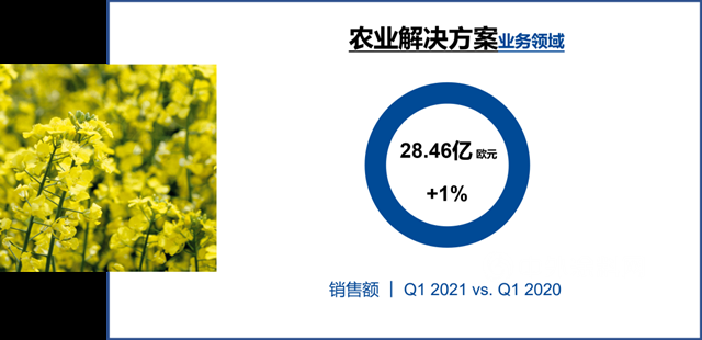 巴斯夫2021开年业务表现强劲