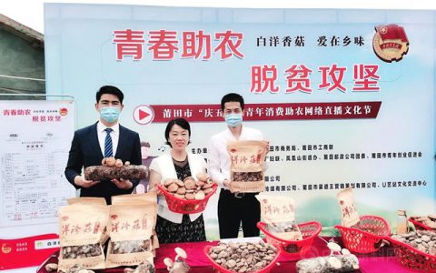 守护美好生活丨三棵树发布2020年度企业社会责任报告书