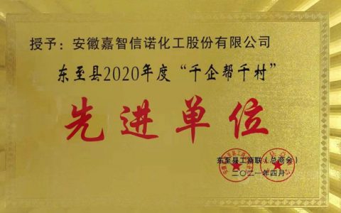 嘉智信诺荣获东至县2020年度“千企帮千村”先进单位