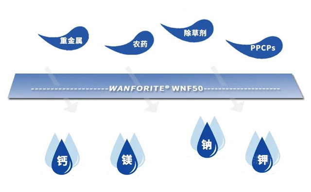 万华化学WANFORITE® WNF50纳滤净水产品 | 推动市政用水优质革新