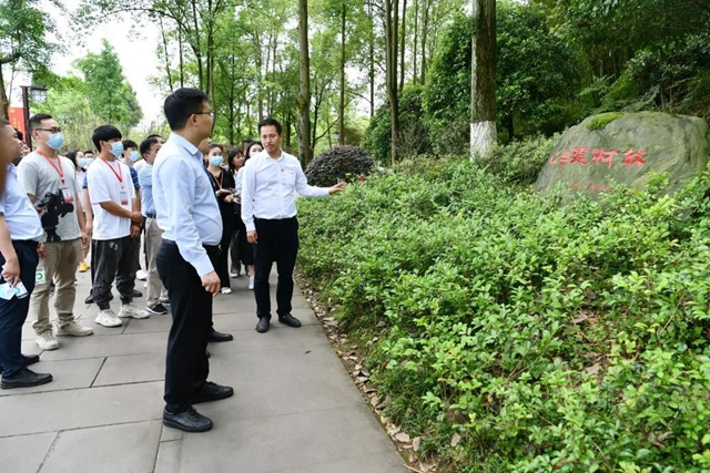 党建促发展、发展强党建|成都建筑装饰行业广安北新红色行