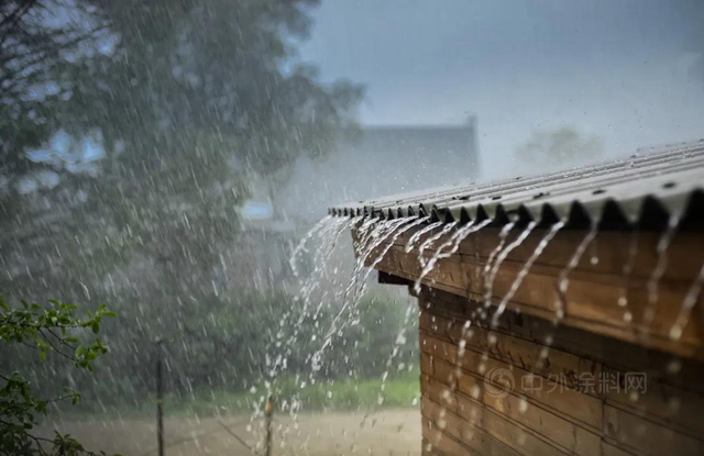 德爱威：梅雨季来了，墙面防霉攻略