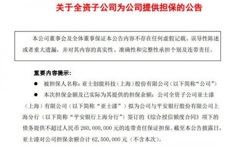 全资子公司为亚士创能提供2.6亿元担保