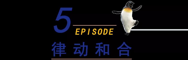 佐敦涂料看“大国建造”，探秘中国新地标