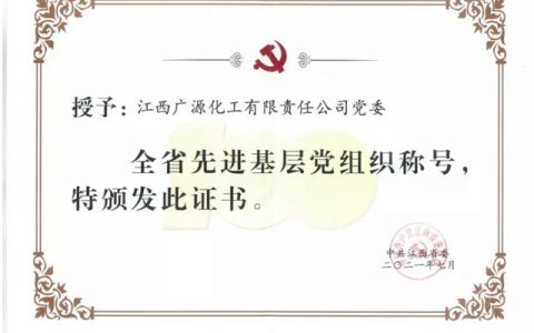 广源党委荣获全省先进基层党组织