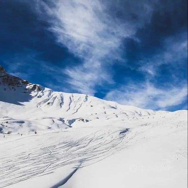 2021中国建博会 | 从雪山到沙漠到森林，掀开嘉宝莉的神秘面纱