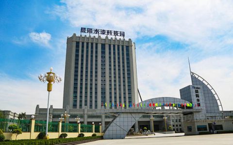 晨阳提交重整计划还剩60天，能像贾跃亭FF借壳上市迎来新生吗？