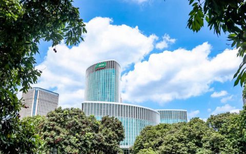 猛增80.51%！三棵树半年狂揽46.83亿元，全年100亿触手可及