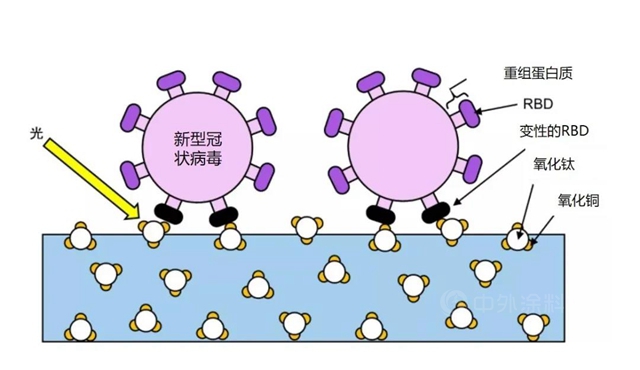 创新涂层科技！立邦与东京大学联合实验声明：新型纳米光触媒技术能有效抑制涂层表面新冠病毒和Alpha变异病毒