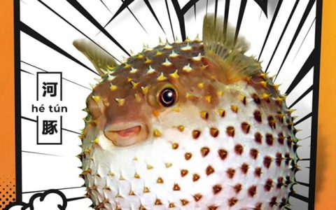 东方雨虹防水冷知识 | 关键时刻TA该如何应对？