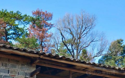 广源集团：老房子