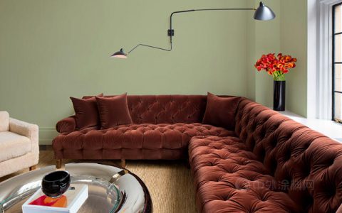 在橄榄绿中放松身心：PPG发布2022年度流行色