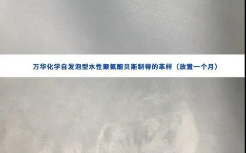 “自”出心裁——万华化学自发泡型水性聚氨酯