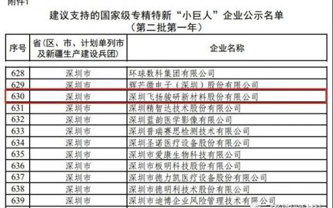 飞扬骏研入选工信部建议支持的国家级专精特新“小巨人”企业