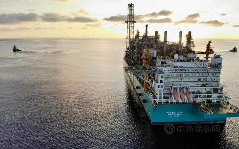 首个采用巴斯夫气体处理技术的浮式液化天然气项目启动