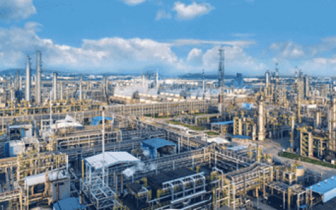 巴斯夫参与中国绿色电力交易试点