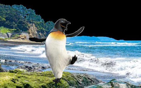 佐敦涂料：我为冰与火而来，却看到更美的……