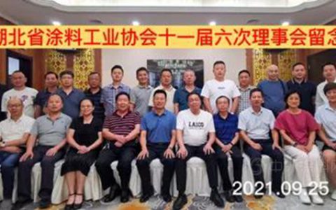 湖北省涂料工业协会 第十一届第六次理事（扩大会议）在汉圆满召开
