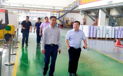 中国腐蚀与防护协会理事长王福会一行莅临双瑞涂料考察交流