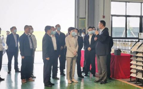 岳阳市委副书记、市长李爱武率队调研德爱威岳阳生产基地