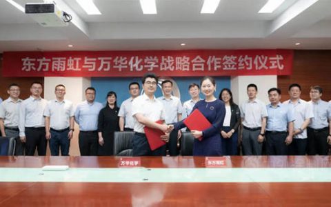 为摆脱上游“剥削”，今年火速自造原材料的涂企有哪些？