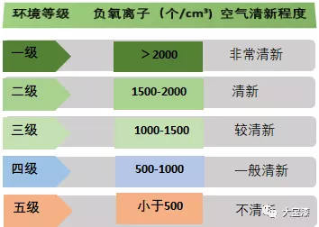 大宝漆荷兰技术 畅享森林呼吸｜高倍安负离子墙面漆