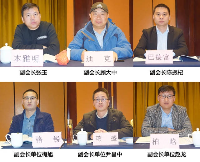 安徽省涂料行业协会第一届十一次会长工作会议顺利召开