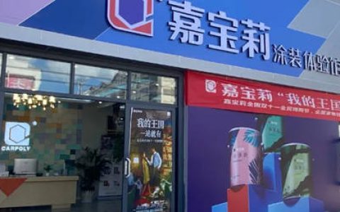 “我的王国 一站就有”嘉宝莉双十一完美收官，再创辉煌战绩！
