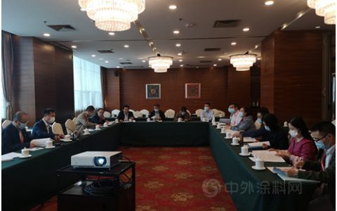 积极推动行业标准制定   引领行业向高质量发展 ——涂料化工行业标准《涂料用氯化橡胶树脂》 审查会议顺利召开