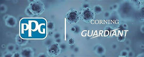 两家美国公司做出的抗新冠病毒涂料 有效率超过99.9%