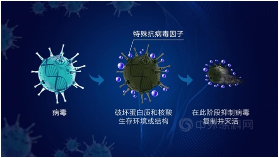 立邦抗病毒卷材涂料如何为畜牧业提供安全的防疫保护？