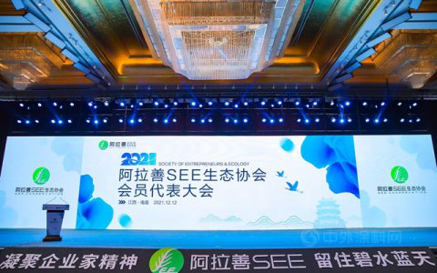 三棵树与公益同行，再获SEE多项荣誉
