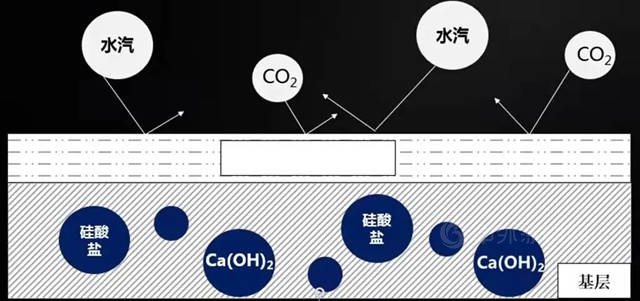 新品上市 | 这个“绿色”圣诞节，美涂士抗盐硝彩色柔韧型防水陪你过