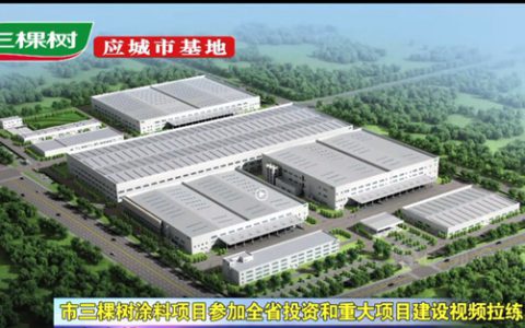 三棵树应城项目参加湖北省投资和重大项目建设拉练