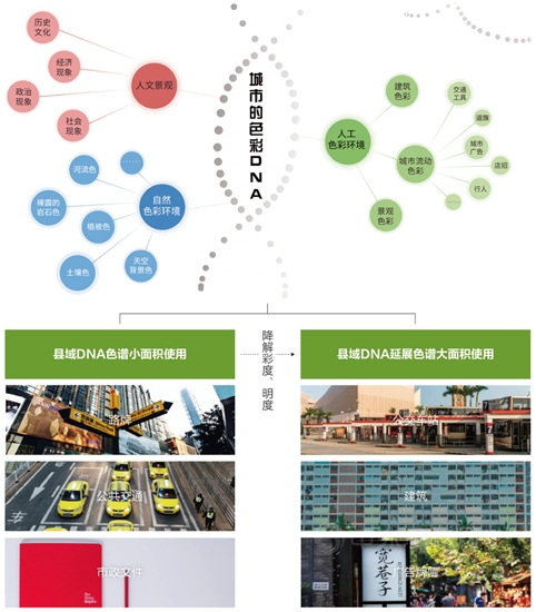 三棵树首发《中国县域建筑外立面色彩解决方案》报告