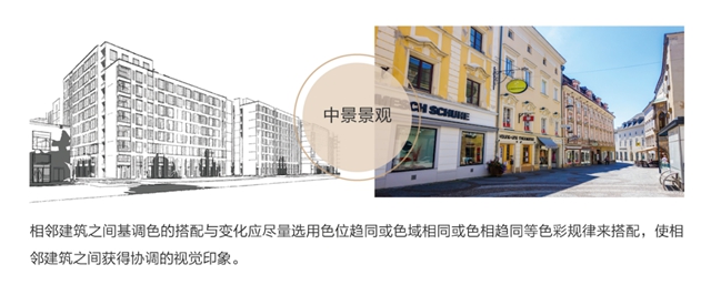 三棵树首发《中国县域建筑外立面色彩解决方案》报告