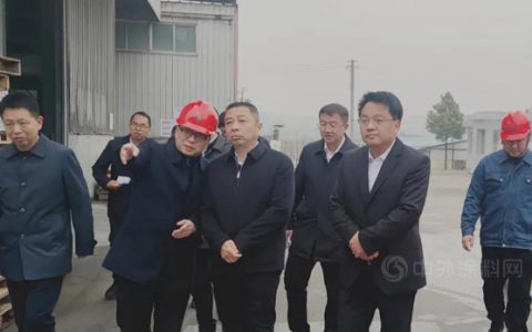 汨罗市委书记朱平波莅临新威凌公司汨罗生产基地调研