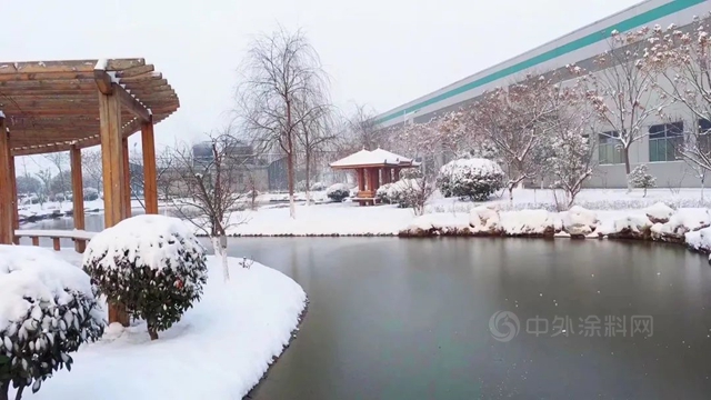 “热雪”集结，寻觅东方雨虹的浪漫