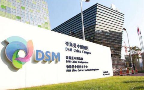 帝斯曼发布2021年度综合报告
