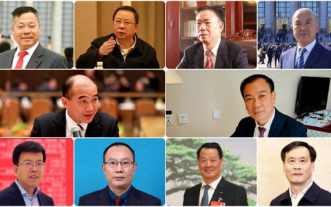 两会专题｜涉及涂料，聚焦石化建材！代表委员为行业高质量发展献言献策
