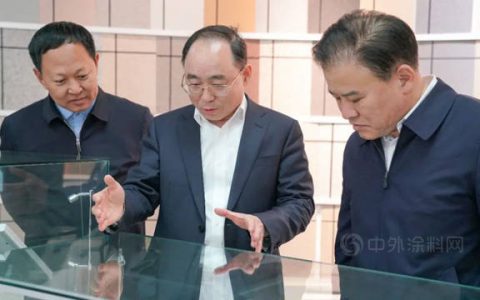 北京市大兴区人大常委会领导莅临富思特视察指导