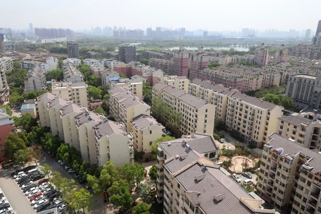 三棵树工程城市焕新服务赋能武汉民生工程建设，为城市打造绿色人居环境