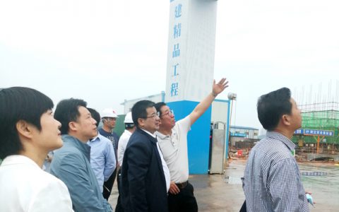 岳阳市政协主席徐新楚一行莅临金彩螺新材料产业园调研指导工作