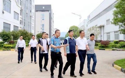 广西自治区工业振兴特派员到七色珠光指导调研