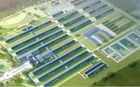 走进伊利生态智慧牧场，探寻立邦畜牧业场景解决实力