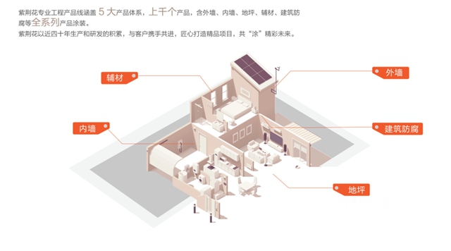 紫荆花工程： 初心筑未来，以创新驱动新价值