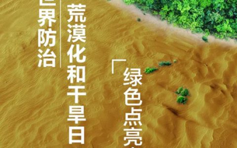 不止三棵树！阿拉善沙漠种下255万棵