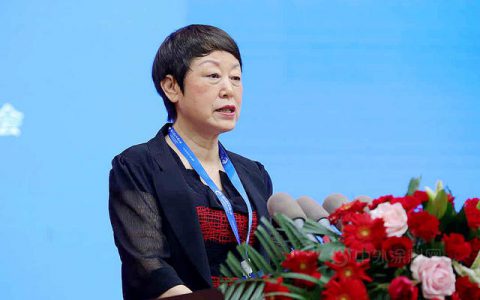 中涂协会长孙莲英：加快向涂料强国迈进