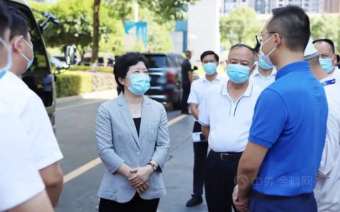 湖南省委常委、市委书记吴桂英一行莅临湘江涂料集团星沙工厂检查指导安全生产工作